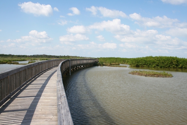 Boardwalk over a man-made marsh